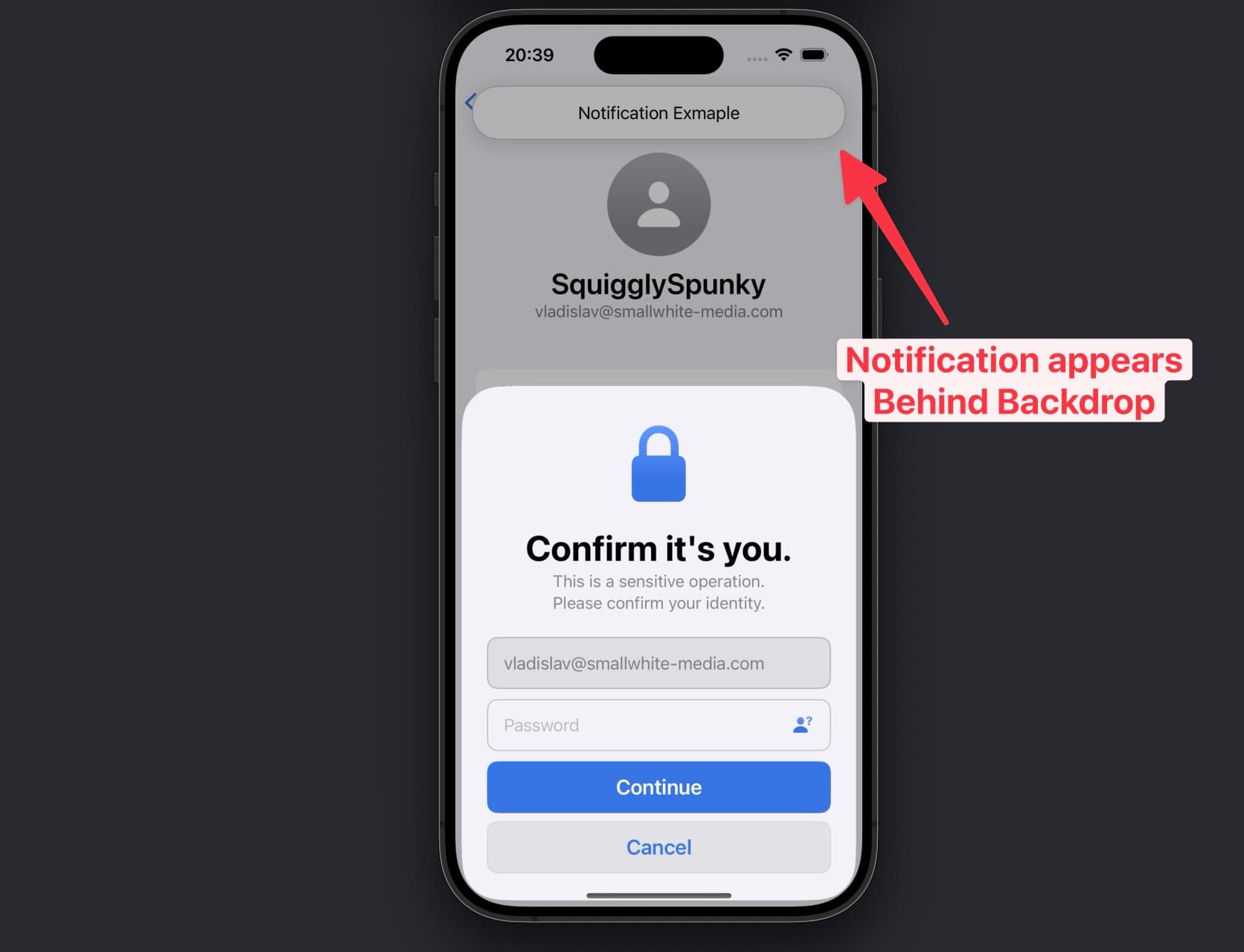 Re-Authentication Sheet hiding Notification Overlay